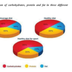 The proportion of carbohydrates, protein and fat in three different diets